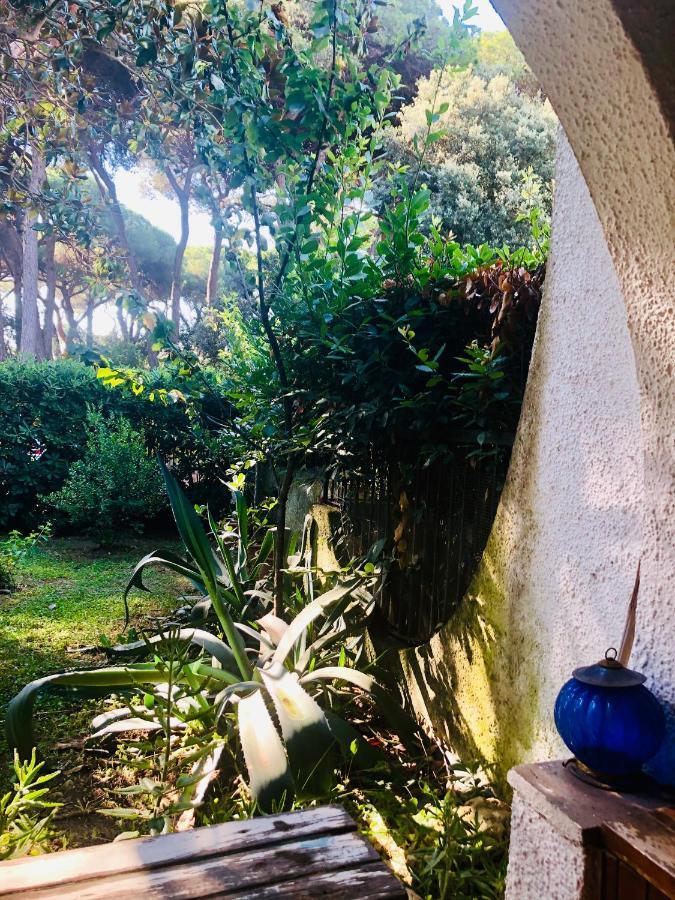 Bed and Breakfast La Casa Di Nataly Fregenae Exterior foto
